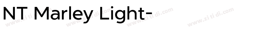 NT Marley Light字体转换